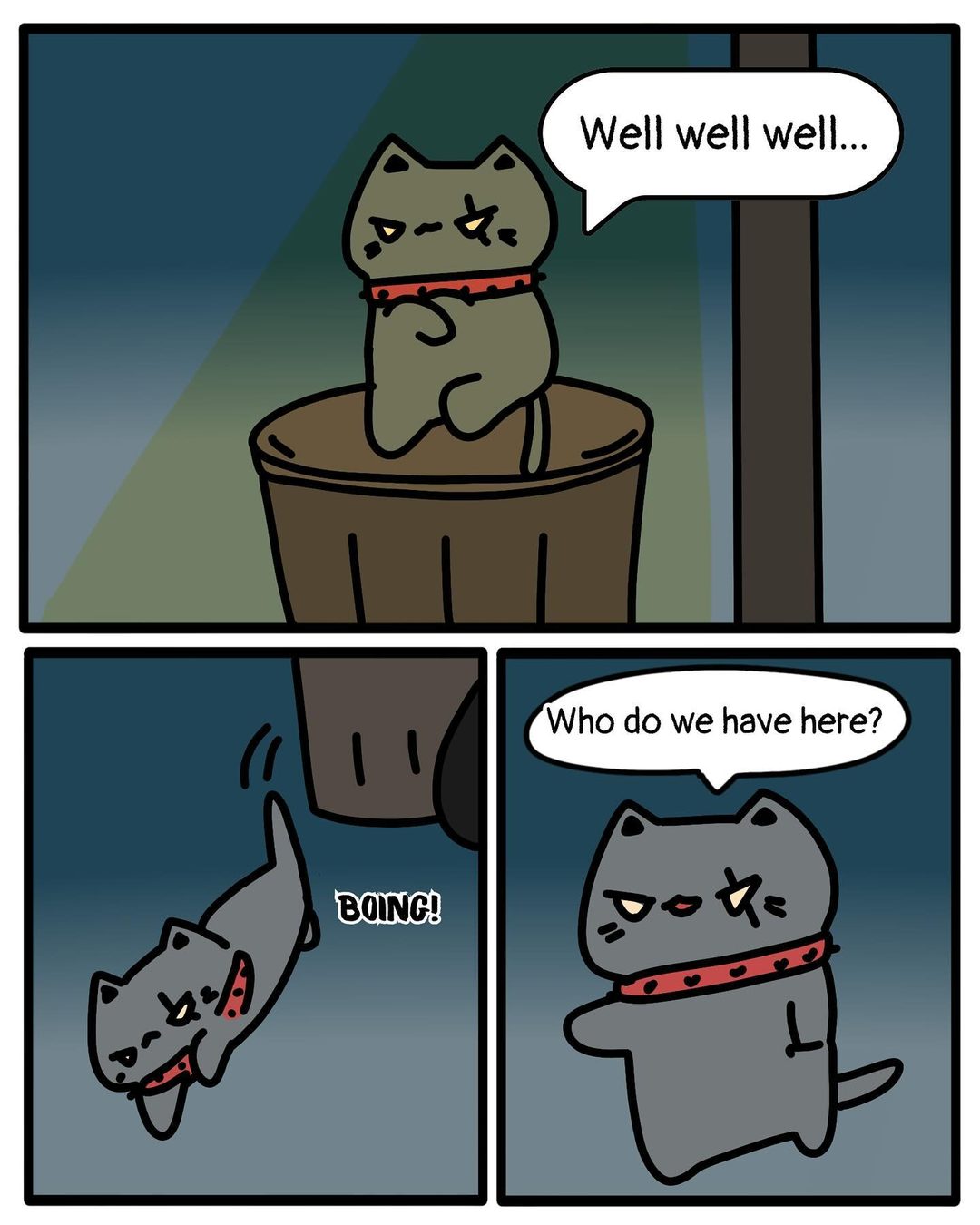 Meeting the Alley Cats 3/10
