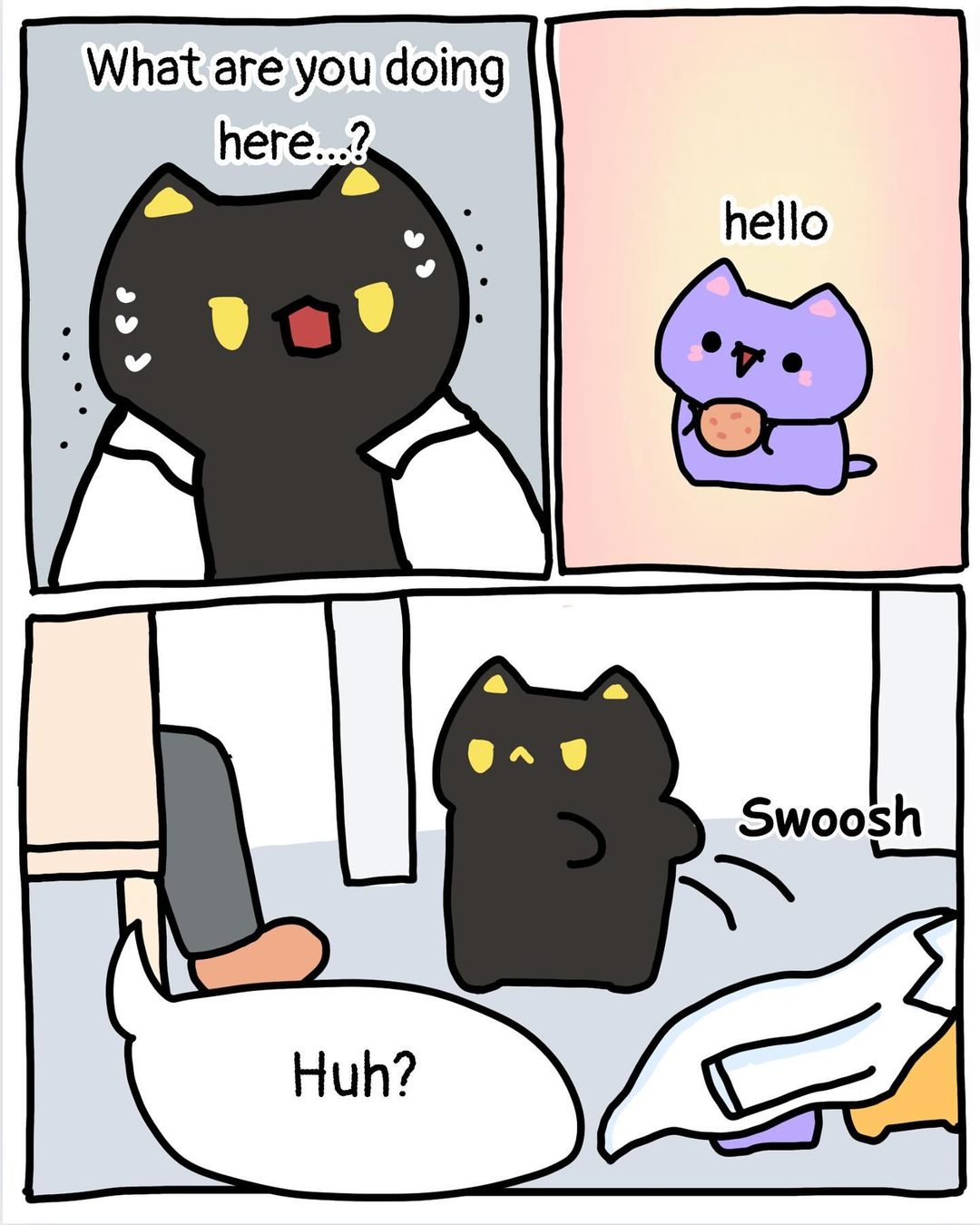 The Black Cat 10/10