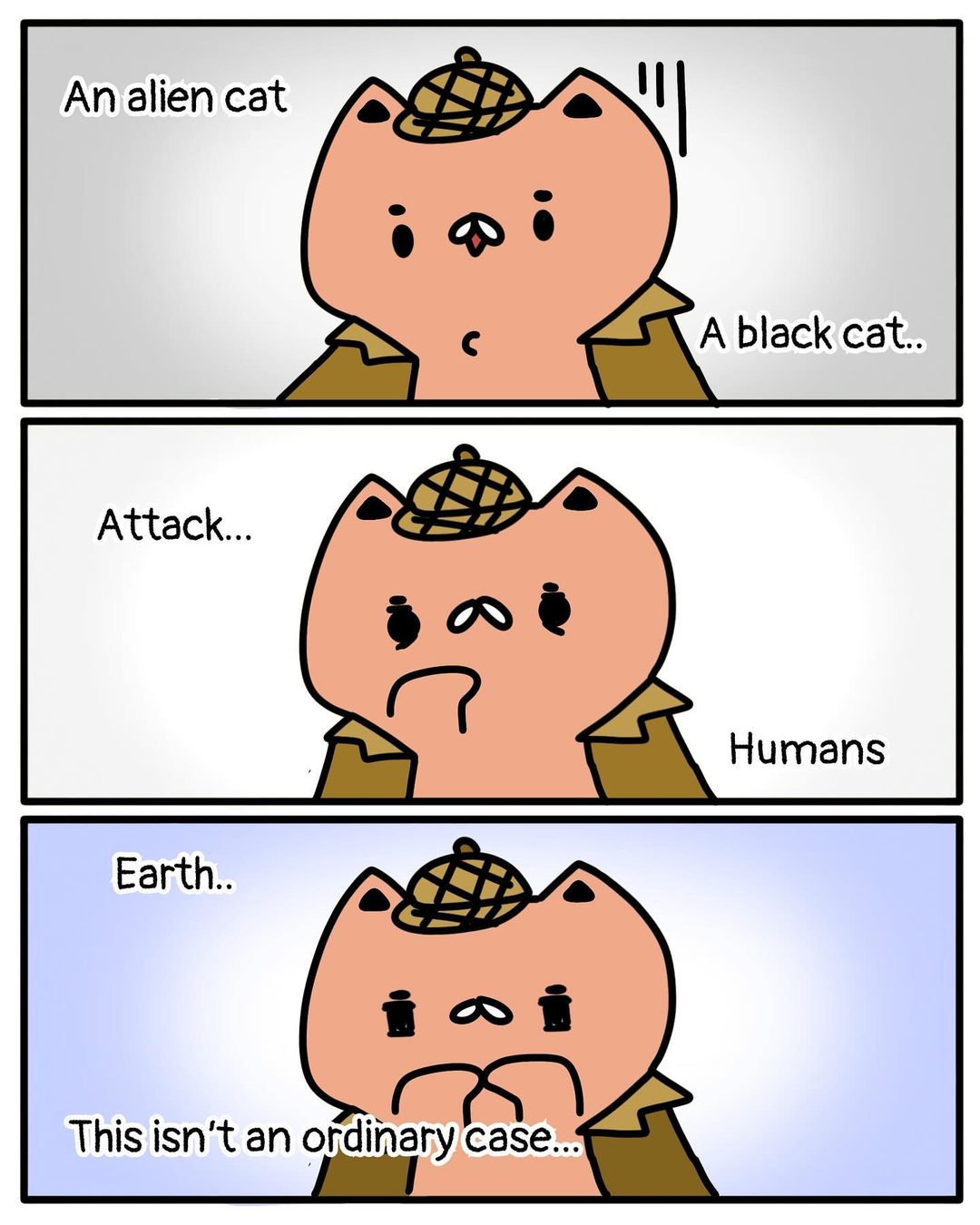 Cat Detective Agency 7/10