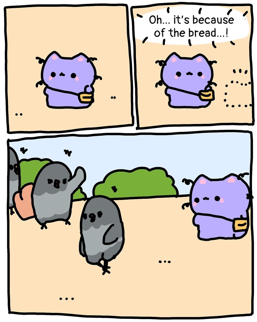 Pigeons 6/13